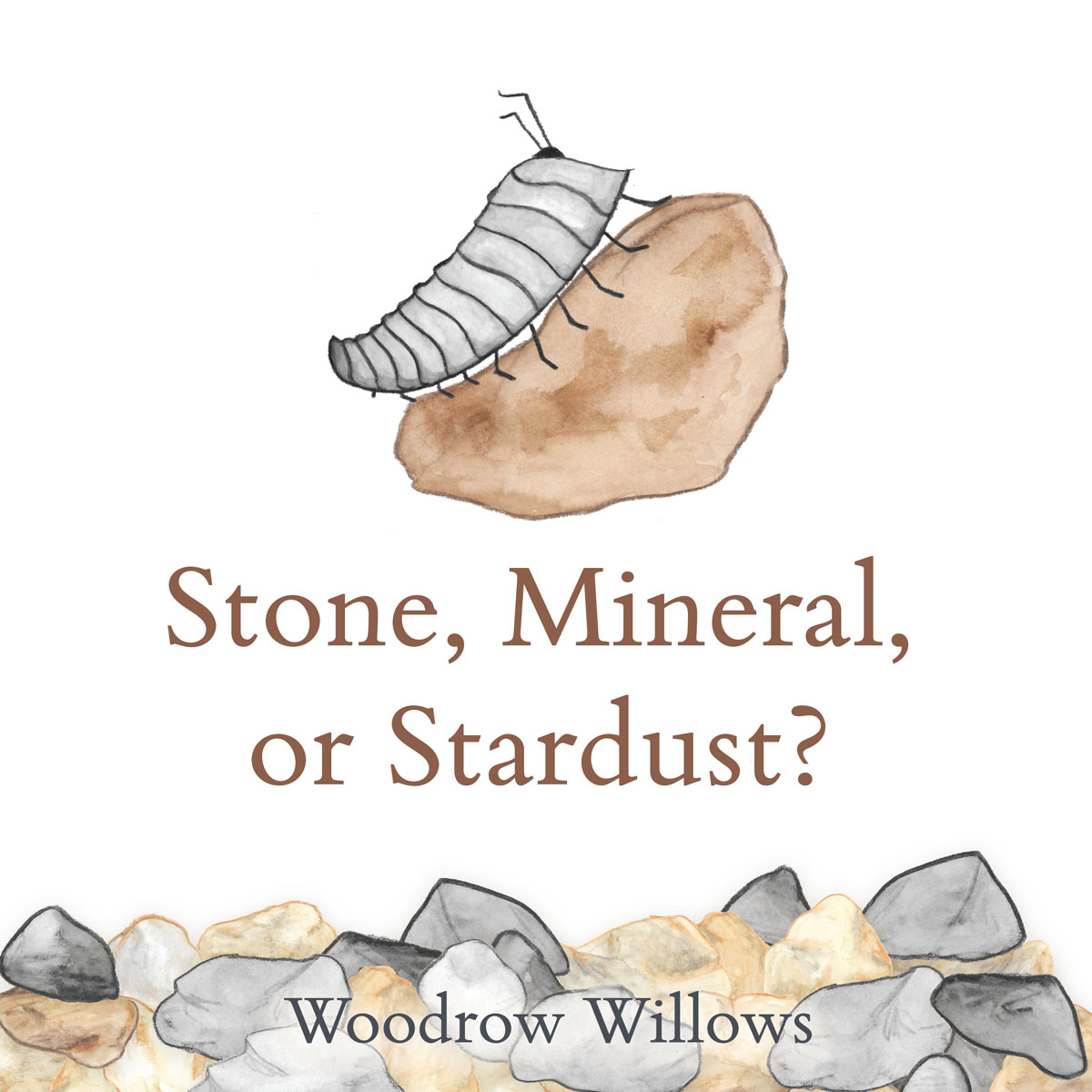 Stone, Mineral, or Stardust (Children's Book)